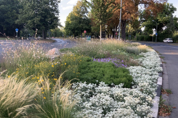 Example of mixed perennial planting by the City of Göttingen (photo by City of Göttingen)